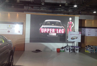 UPPER LEG show